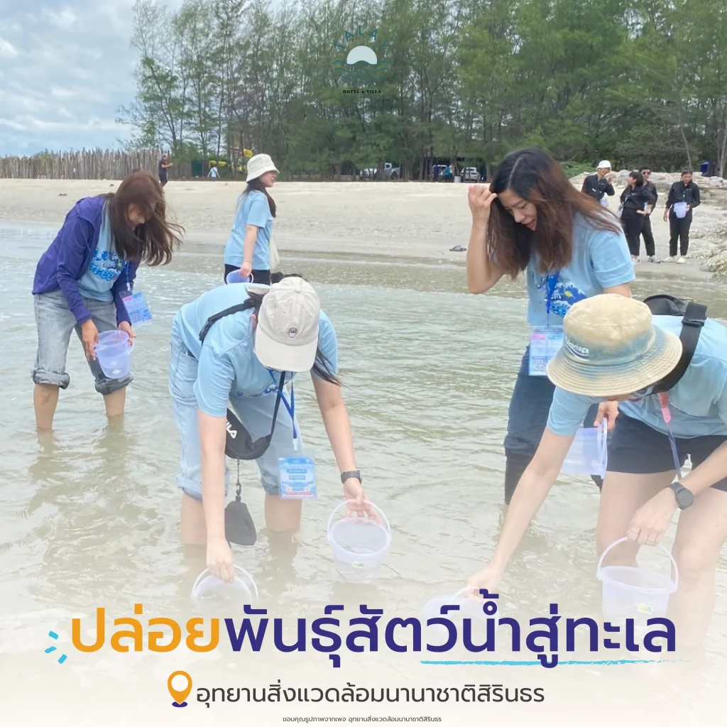 รวม 7 กิจกรรม CSR สุดปัง! ปักมุด ชะอำ-เพชรบุรี | สนุก สร้างสรรค์ สร้างประโยชน์คืนสังคม