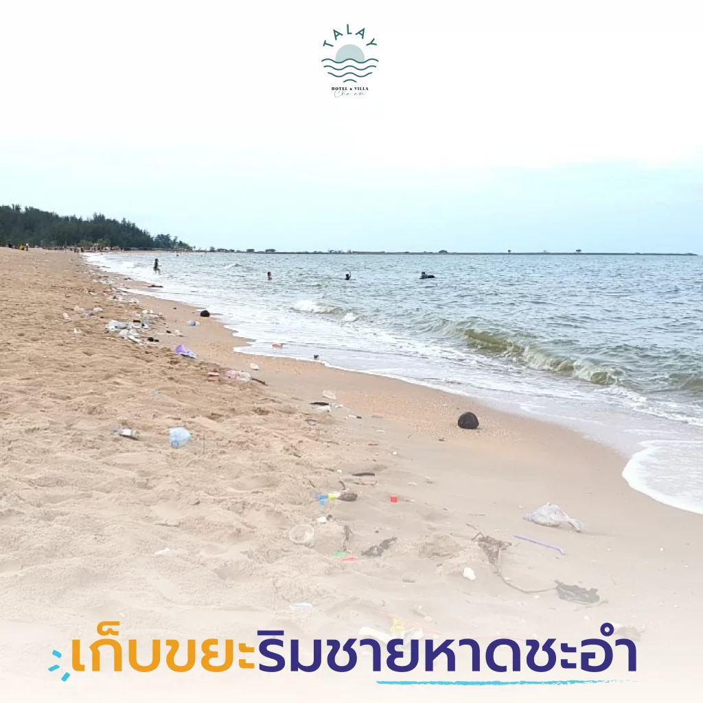 รวม 7 กิจกรรม CSR สุดปัง! ปักมุด ชะอำ-เพชรบุรี | สนุก สร้างสรรค์ สร้างประโยชน์คืนสังคม